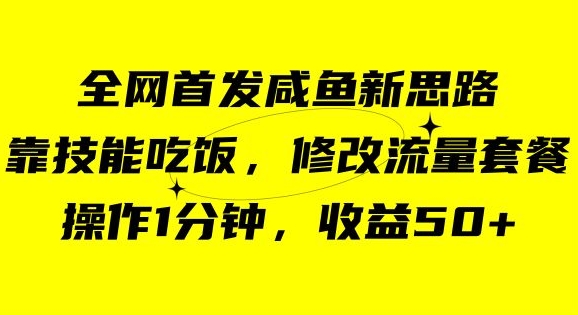 咸鱼冷门新玩法，靠“技能吃饭”，修改流量套餐，操作1分钟，收益50【揭秘】-温暖资源库
