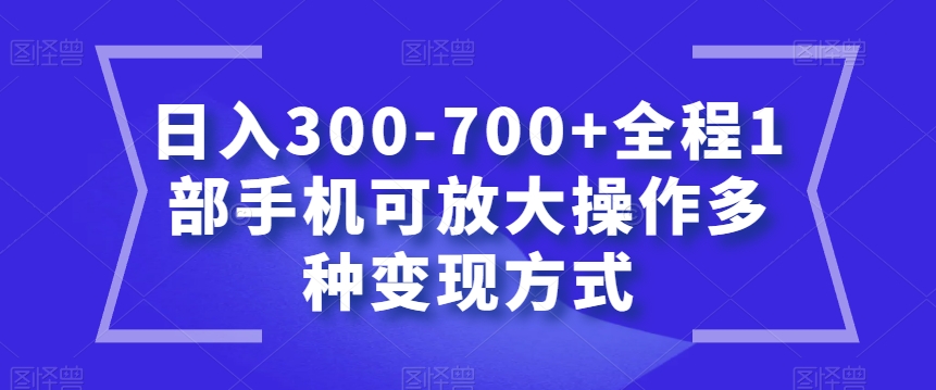 日入300-700+全程1部手机可放大操作多种变现方式【揭秘】-温暖资源库