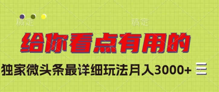独家微头条最详细玩法，月入3000+【揭秘】-温暖资源库