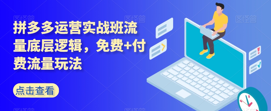 拼多多运营实战班流量底层逻辑，免费+付费流量玩法-温暖资源库