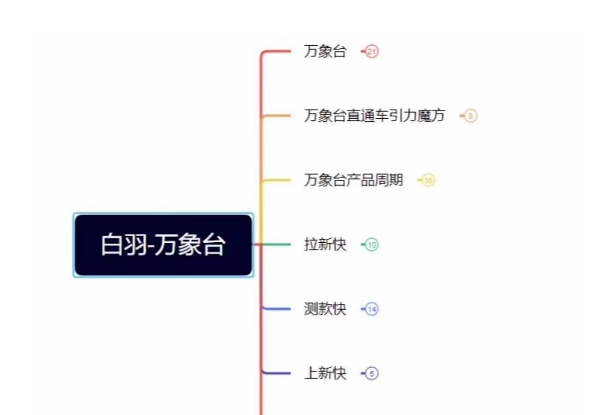 白羽·直引万搜索全篇，从0-1，多个类目实操经验总结付费-温暖资源库