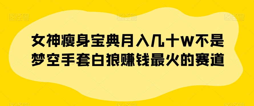 女神瘦身宝典月入几十W不是梦空手套白狼赚钱最火的赛道【揭秘】-温暖资源库