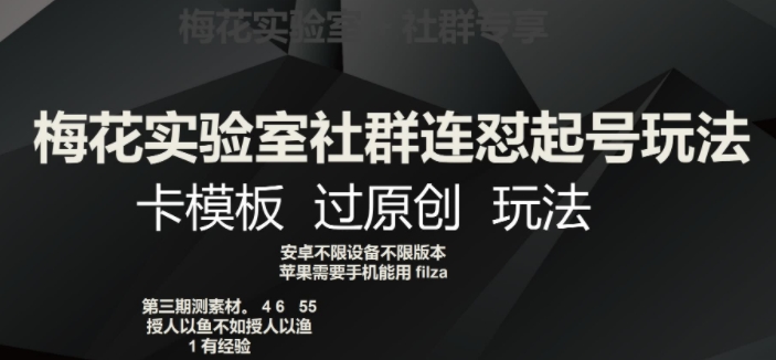 梅花实验室社群连怼起号玩法，卡模板过原创玩法【揭秘】-温暖资源库