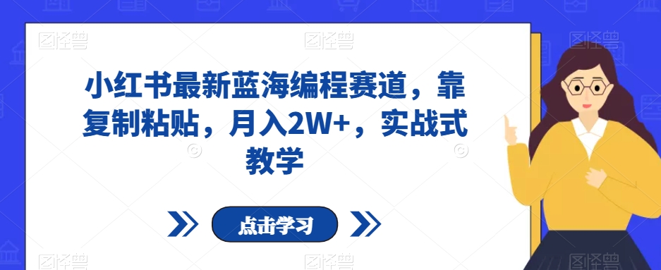 小红书最新蓝海编程赛道，靠复制粘贴，月入2W+，实战式教学【揭秘】-温暖资源库