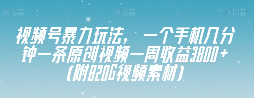 视频号暴力玩法，一个手机几分钟一条原创视频一周收益3800+（附820G视频素材）-温暖资源库
