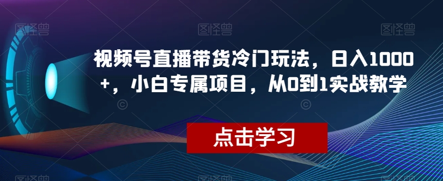 视频号直播带货冷门玩法，日入1000+，小白专属项目，从0到1实战教学【揭秘】-温暖资源库