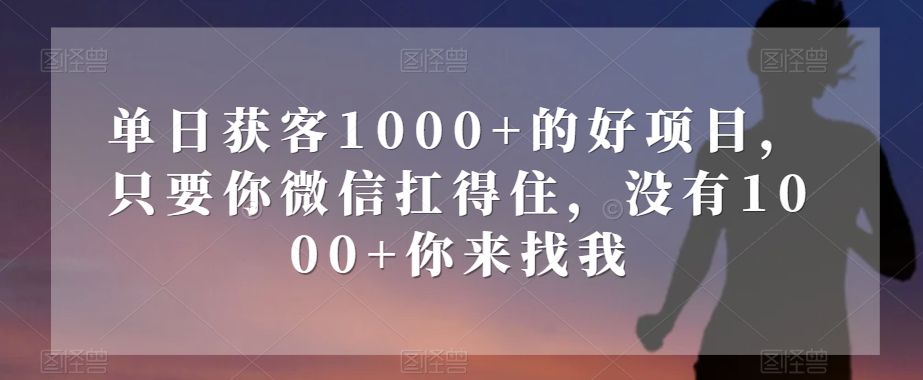 单日获客1000+的好项目，只要你微信扛得住，没有1000+你来找我【揭秘】-温暖资源库