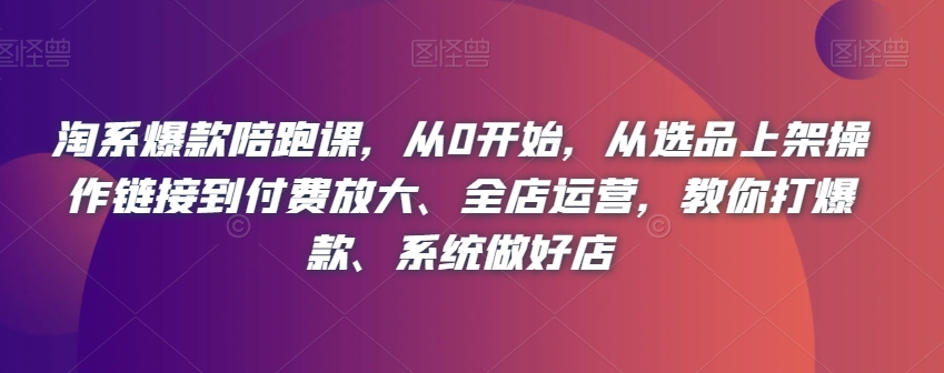淘系爆款陪跑课，从0开始，从选品上架操作链接到付费放大、全店运营，教你打爆款、系统做好店-温暖资源库