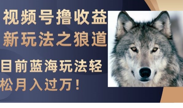 视频号撸收益新玩法之狼道，目前蓝海玩法，轻松月入过万【揭秘】-温暖资源库