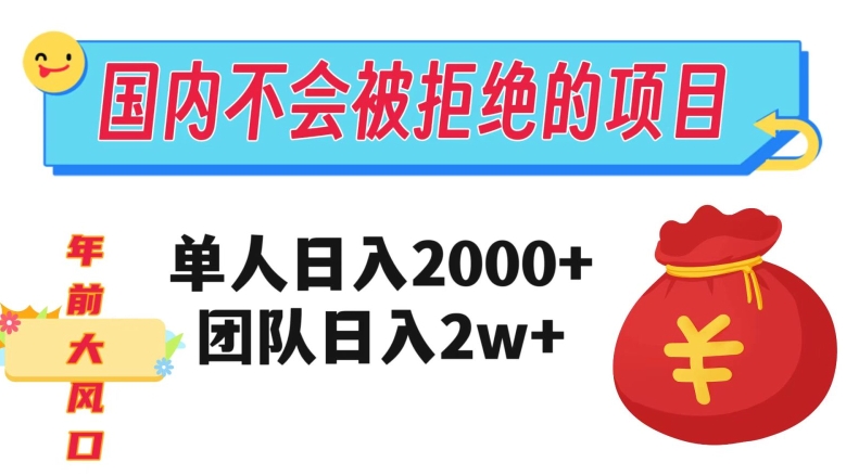 在国内不怕被拒绝的项目，单人日入2000，团队日入20000+【揭秘】-温暖资源库