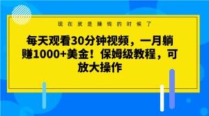 每天观看30分钟视频，一月躺赚1000+美金！保姆级教程，可放大操作【揭秘】-温暖资源库