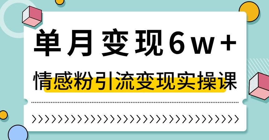 单月变现6W+，抖音情感粉引流变现实操课，小白可做，轻松上手，独家赛道【揭秘】-温暖资源库
