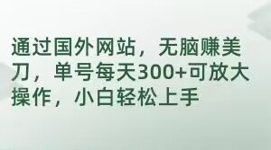 通过国外网站，无脑赚美刀，单号每天300+可放大操作，小白轻松上手【揭秘】-温暖资源库