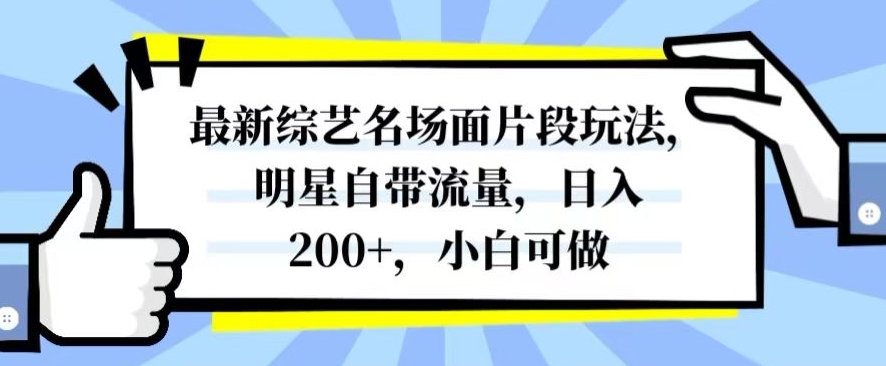最新综艺名场面片段玩法，明星自带流量，日入200+，小白可做【揭秘】-温暖资源库