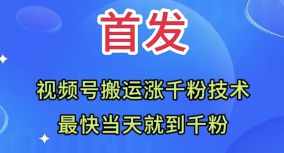 全网首发：视频号无脑搬运涨千粉技术，最快当天到千粉【揭秘】-温暖资源库