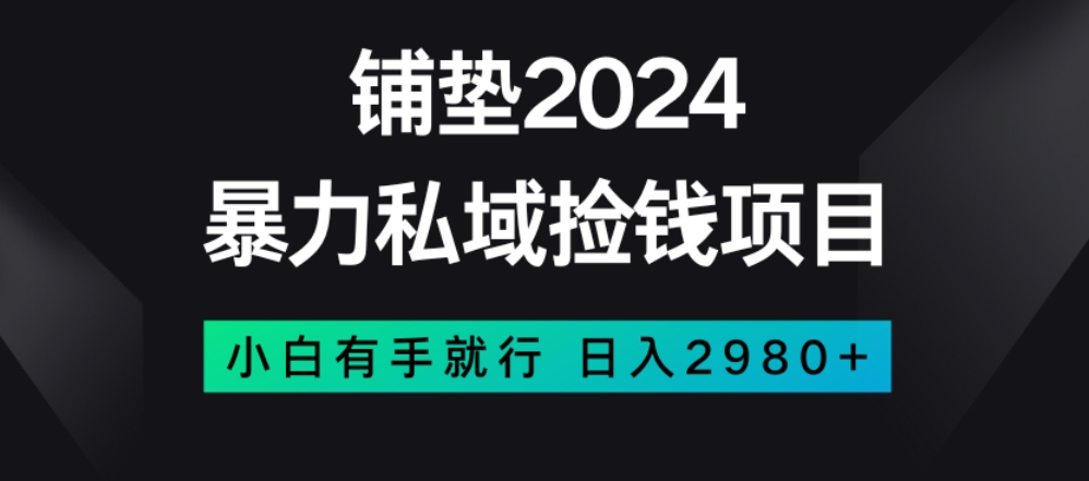 暴力私域捡钱项目，小白无脑操作，日入2980【揭秘】-温暖资源库