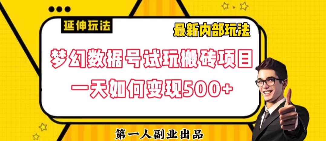 数据号回归玩法游戏试玩搬砖项目再创日入500+【揭秘】-温暖资源库