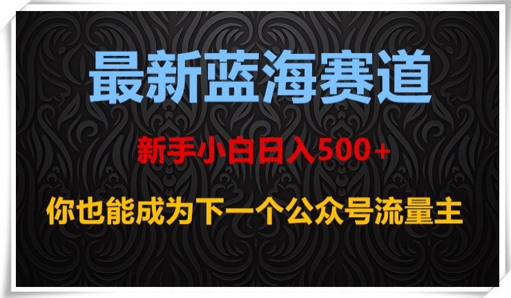 最新蓝海赛道，新手小白日入500+，你也能成为下一个公众号流量主【揭秘】-温暖资源库