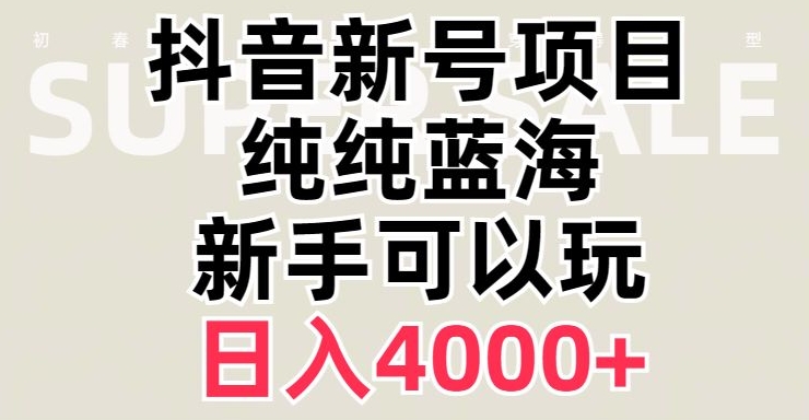 抖音蓝海赛道，必须是新账号，日入4000+【揭秘】-温暖资源库