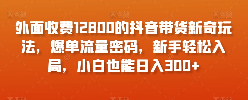 外面收费12800的抖音带货新奇玩法，爆单流量密码，新手轻松入局，小白也能日入300+【揭秘】-温暖资源库