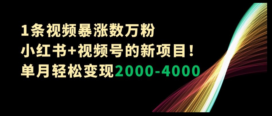 1条视频暴涨数万粉–小红书+视频号的新项目！单月轻松变现2000-4000【揭秘】-温暖资源库