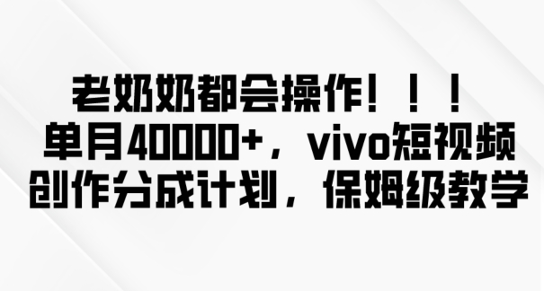 老奶奶都会操作，新平台无脑操作，单月40000+，vivo短视频创作分成计划【揭秘】-温暖资源库