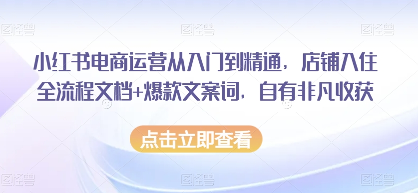 小红书电商运营从入门到精通，店铺入住全流程文档+爆款文案词，自有非凡收获-温暖资源库