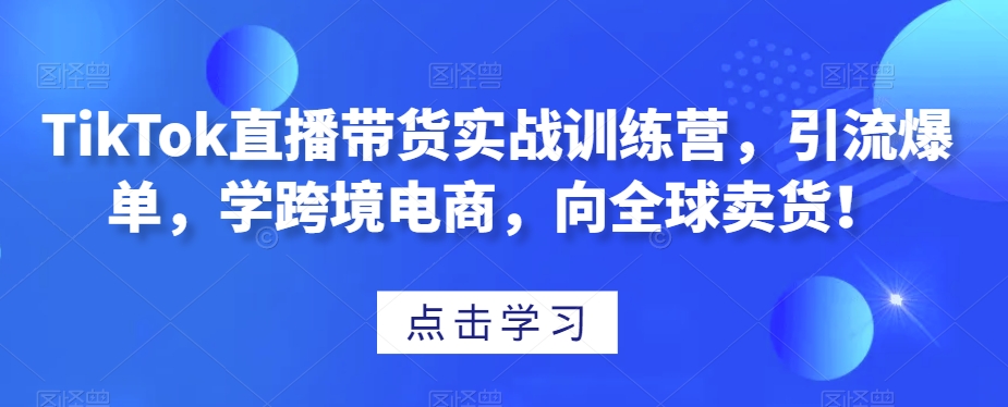 TikTok直播带货实战训练营，引流爆单，学跨境电商，向全球卖货！-温暖资源库