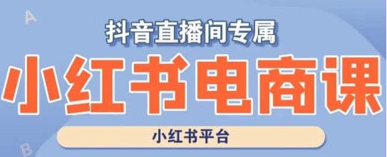 小红书电商高级运营课程，实操教学+案例分析-温暖资源库