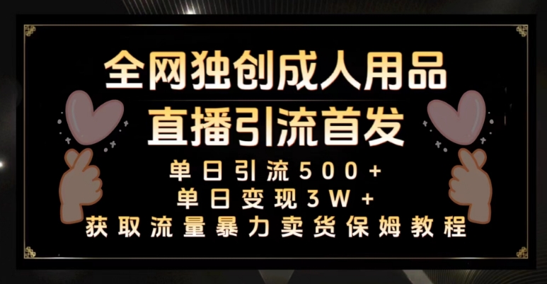 全网独创真人主播+无人直播单日引流500+，橙人用品暴力卖货单日变现3W+保姆似教学2.0【揭秘】-温暖资源库