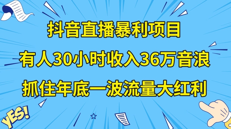 抖音直播暴利项目，有人30小时收入36万音浪，公司宣传片年会视频制作，抓住年底一波流量大红利【揭秘】-温暖资源库