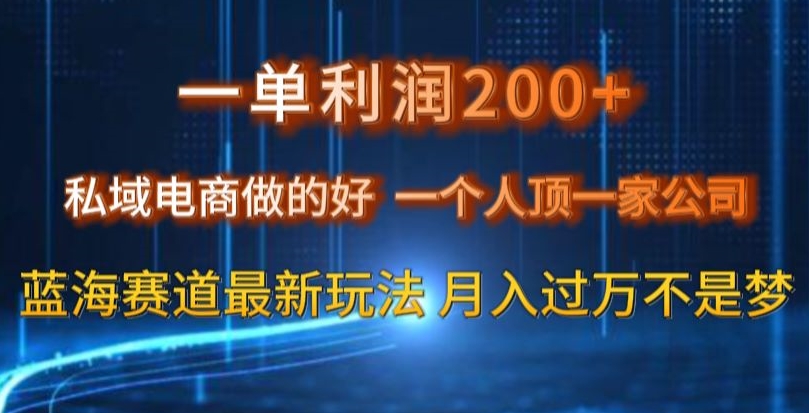 一单利润200私域电商做的好，一个人顶一家公司蓝海赛道最新玩法【揭秘】-温暖资源库