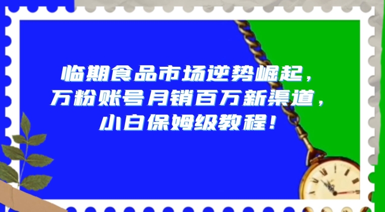 临期食品市场逆势崛起，万粉账号月销百万新渠道，小白保姆级教程【揭秘】-温暖资源库