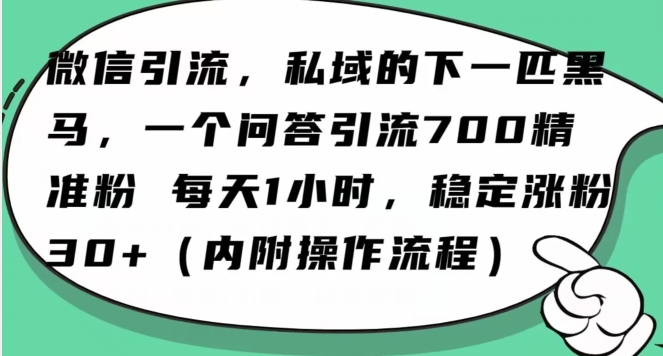 怎么搞精准创业粉？微信新赛道，每天一小时，利用Ai一个问答日引100精准粉-温暖资源库
