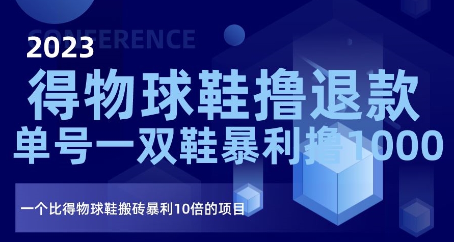 2023得物球鞋撸退款，单号一双鞋暴利撸1000，一个比得物球鞋搬砖暴利10倍的项目【揭秘】-温暖资源库