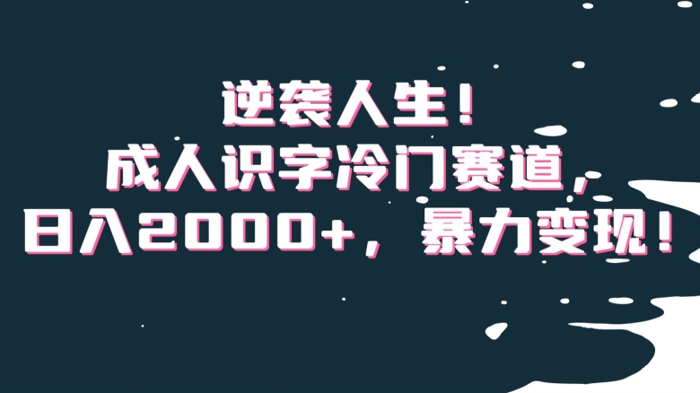 逆袭人生！成人识字冷门赛道，日入2000+，暴力变现！【揭秘】-温暖资源库