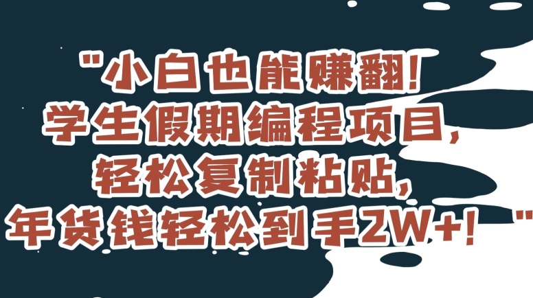 小白也能赚翻！学生假期编程项目，轻松复制粘贴，年货钱轻松到手2W+【揭秘】-温暖资源库