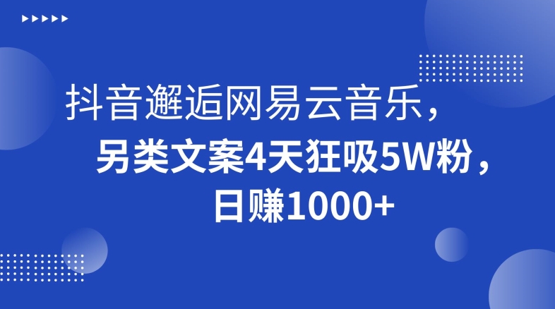 抖音邂逅网易云音乐，另类文案4天狂吸5W粉，日赚1000+【揭秘】-温暖资源库