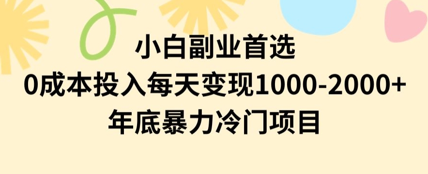 小白副业首选，0成本投入，每天变现1000-2000年底暴力冷门项目【揭秘】-温暖资源库