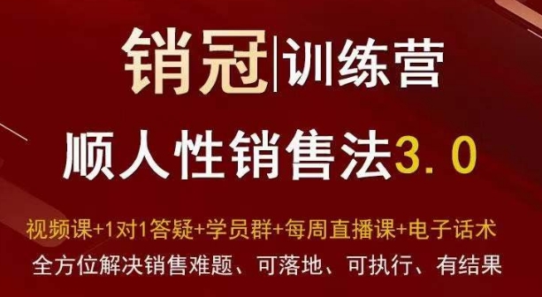 爆款！销冠训练营3.0之顺人性销售法，全方位解决销售难题、可落地、可执行、有结果-温暖资源库