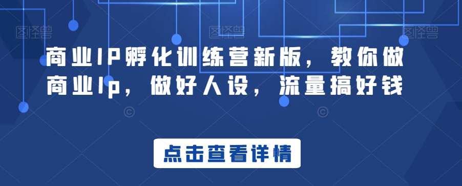 商业IP孵化训练营新版，教你做商业Ip，做好人设，流量搞好钱-温暖资源库