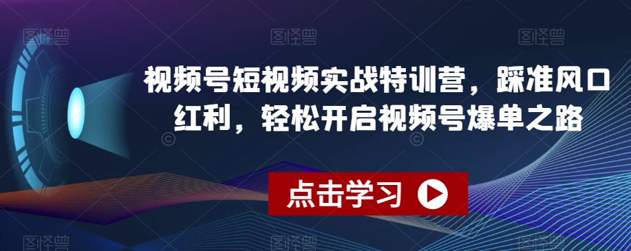 视频号短视频实战特训营，踩准风口红利，轻松开启视频号爆单之路-温暖资源库