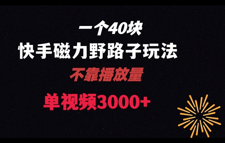 一个40块，快手联合美团磁力新玩法，无视机制野路子玩法，单视频收益4位数【揭秘】-温暖资源库