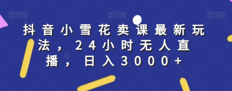 抖音小雪花卖课最新玩法，24小时无人直播，日入3000+【揭秘】-温暖资源库