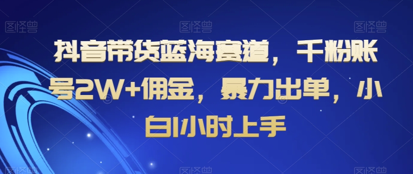 抖音带货蓝海赛道，千粉账号2W+佣金，暴力出单，小白1小时上手【揭秘】-温暖资源库