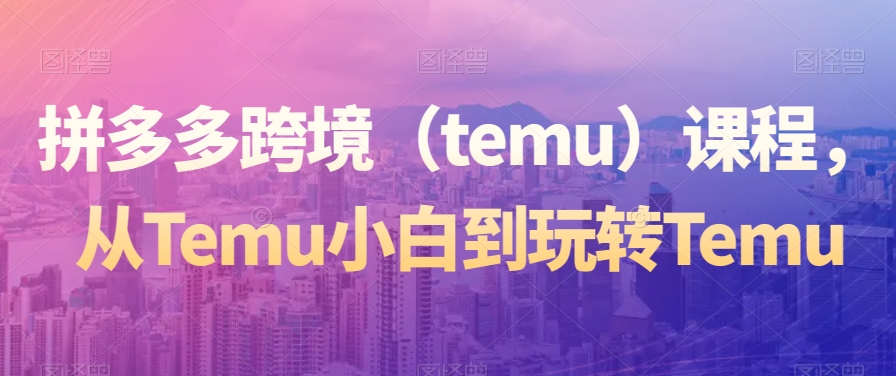 拼多多跨境（temu）课程，从Temu小白到玩转Temu-温暖资源库