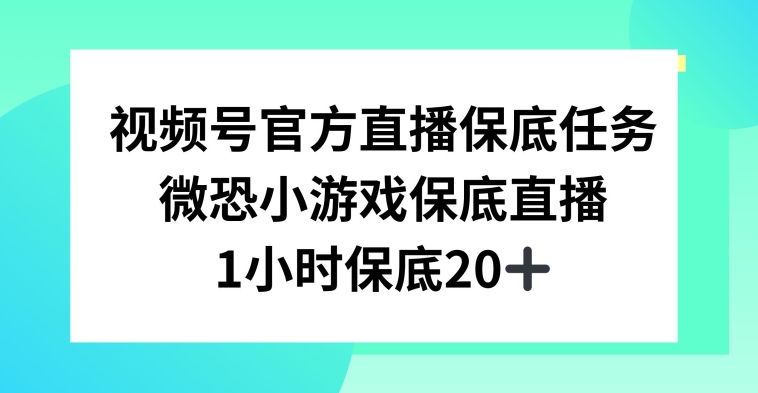 视频号直播任务，微恐小游戏，1小时20+【揭秘】-温暖资源库