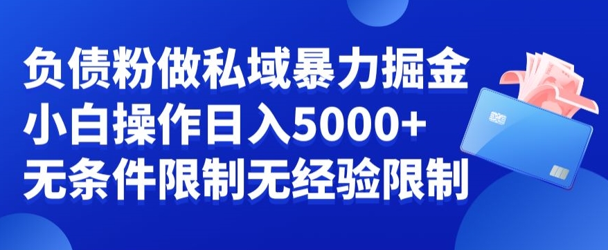 负债粉私域暴力掘金，小白操作入5000，无经验限制，无条件限制【揭秘】-温暖资源库