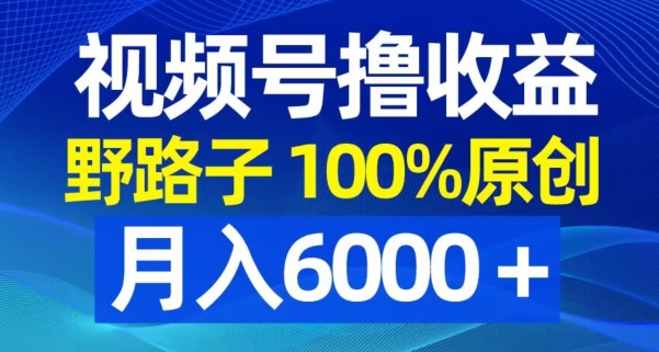 视频号野路子撸收益，100%原创，条条爆款，月入6000＋【揭秘】-温暖资源库