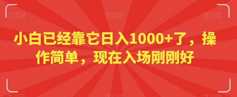 小白已经靠它日入1000+了，操作简单，现在入场刚刚好【揭秘】-温暖资源库
